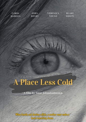A Place Less Cold poster