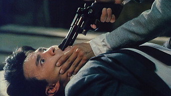 Фатальне завершення (1990)