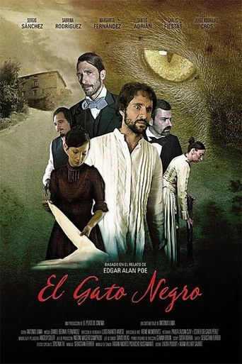 El gato negro poster