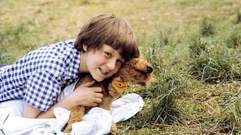 Holiday for a Dog (1981)