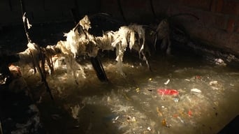 Пластиковий Китай (2016)