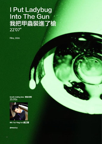 我把甲蟲裝進了槍