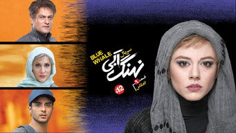 Episode 9 — Reflection