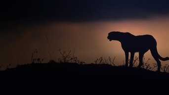 Kalahari: Land of Secret Alliances - S1E01