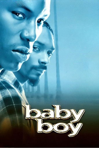 Baby Boy (2001)