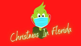 #5 Christmas in Florida