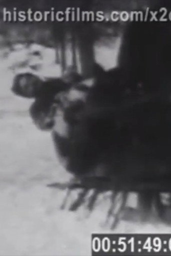 Capture of the Biddle Brothers