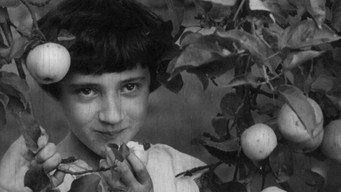 Злодій (1969)