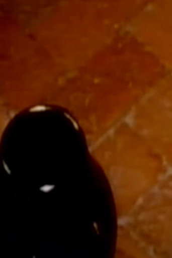 Maria Martinez: Indian Pottery of San Ildefonso