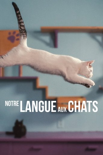 Notre langue aux chats en streaming 