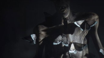 Escena 2 de Moths