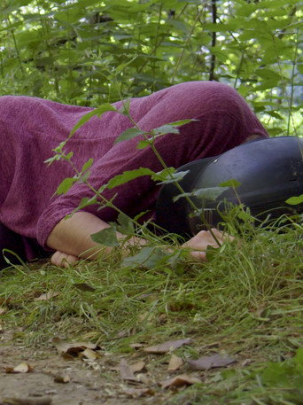 L'arbre qui cache la for&ecirc;t (2022)
