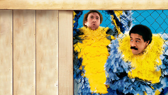 Galeria 1 - Locos de remate