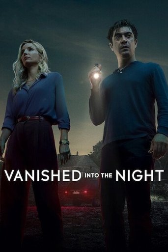 Vanished into the Night poster