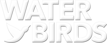 Water Birds logo
