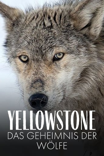 Poster of Yellowstone: The Mystery of the Wolves