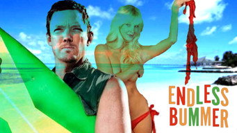 #4 National Lampoon Presents: Endless Bummer