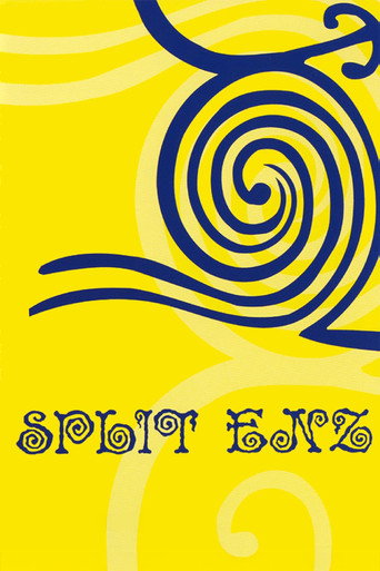 Split Enz poster