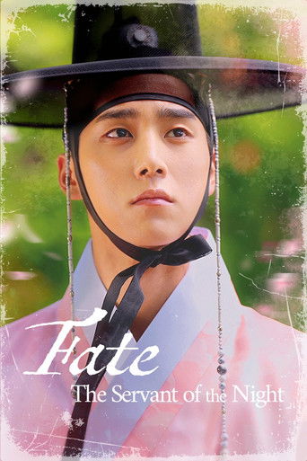Poster for Fate: The Servant of the Night
