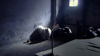 Episode 33 — Episode 33