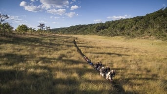 #10 Into The Okavango