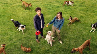 Dog Park (2026- )