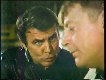 Episode 4 — The Zoo under the Wacker Street Bridge