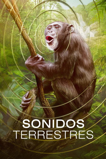 Sons do Planeta — Pôsteres 21