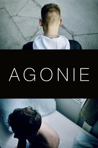 Poster 3