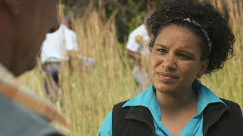 Episodio 7 — Episodio 7