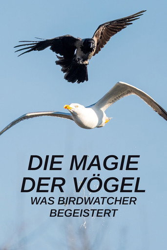 Die Magie der Vögel - Was Birdwatcher begeistert