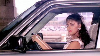 Vansh (1992)