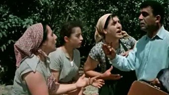 Son-in-law without Diploma (1961)