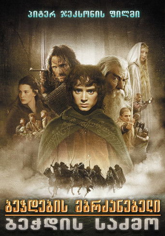The Lord of the Rings: The Fellowship of the Ring (2001)