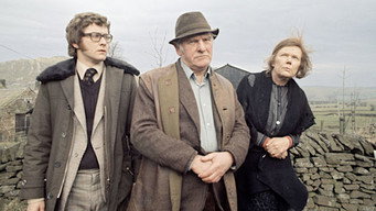 Murrain media image