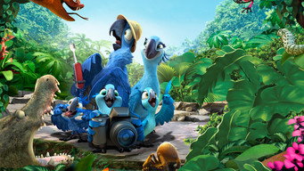 Rio 2 backdrop 2