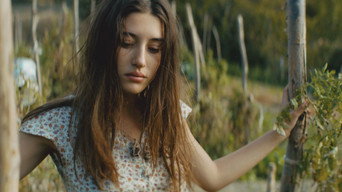 #6 Lucania - Land blood and magic