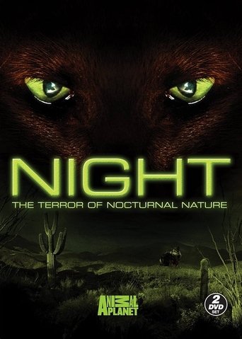 Night poster