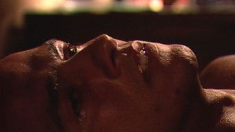 Episodio 14 — Episodio 14