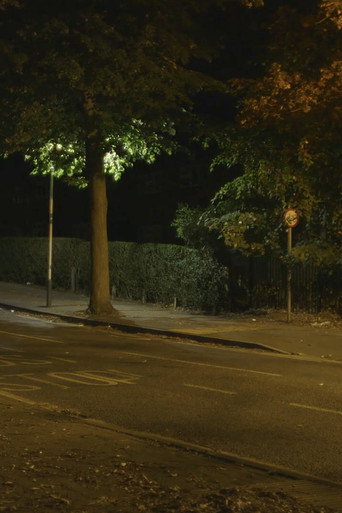 Canon: Urban Deer