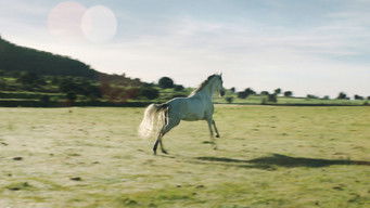 Galeria 3 - Nuestro tiempo