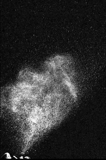 Turbulent Gas Clouds and Respiratory Pathogen Emissions: Potential Implications for Reducing Transmission of COVID-19 poster