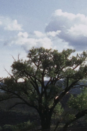 Carter Jackson's Cottonwood poster