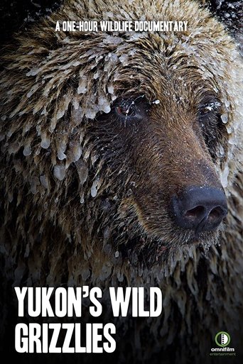 Yukon’s Wild Grizzlies (2021)