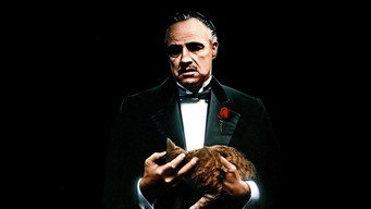 The Godfather backdrop 5