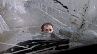 #35 Бразилія