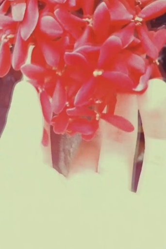 der Blumenkönig poster