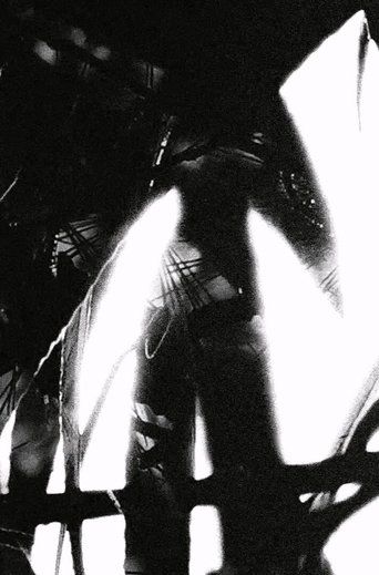 Portrait of a Forest poster