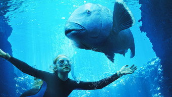 #9 Blueback