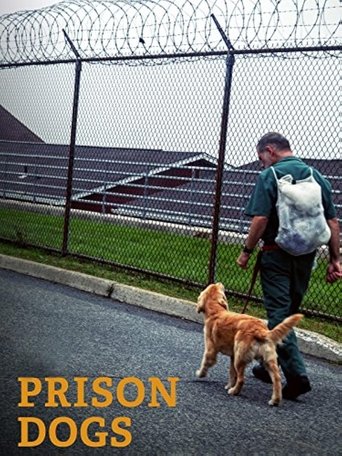 Prison Dogs (2016)